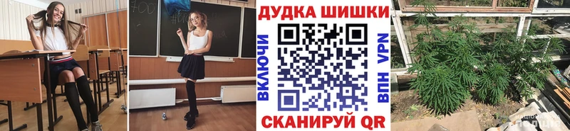 сколько стоит  мега как зайти  shop клад  Карачев  Бошки марихуана семена 